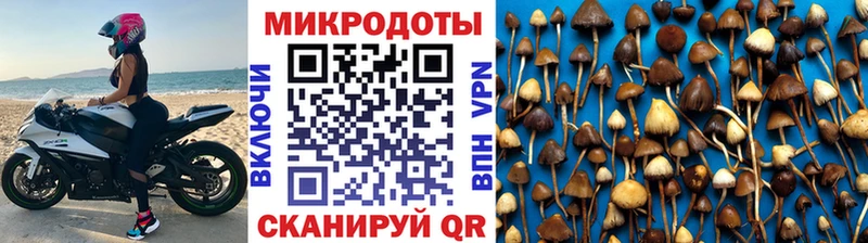 Галлюциногенные грибы Cubensis  Дзержинский 