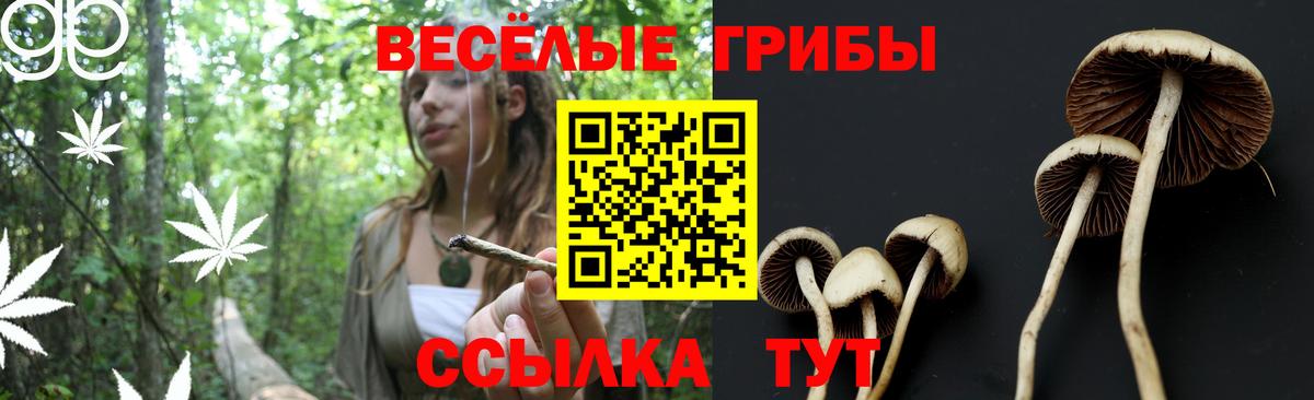 Галлюциногенные грибы MAGIC MUSHROOMS  Дзержинский  Псилоцибиновые грибы ЛСД 