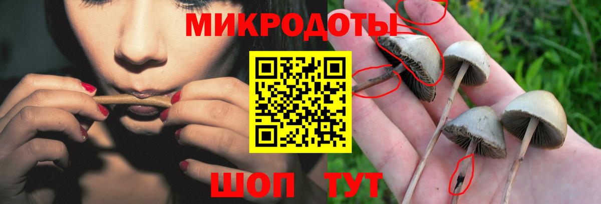 Галлюциногенные грибы мицелий Дзержинский